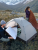 Cloud-Creek PRO hiking tent Forest green/2 People/20D Nylon 2.3kg / . для гор и походов Cloud-Creek PRO hiking tent Forest green/2 People/20D Nylon 2.3kg / . для гор и походов